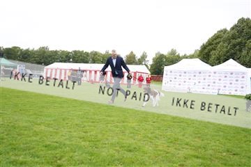 182009_kar_01__62_6244.JPG
