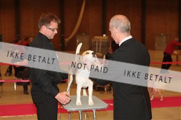 124188 _tl_02_IMG_9719.JPG