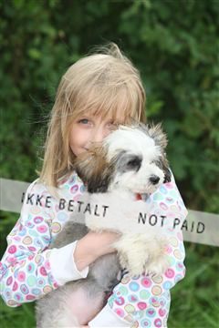 130370_se_01_IMG_5178.JPG
