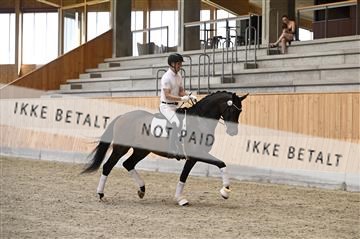 181595_kbb_01_Z097859.JPG