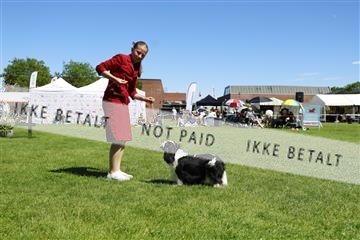 181564_kar_01__62_8474.JPG