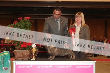 124188 _tl_02_IMG_9614.JPG