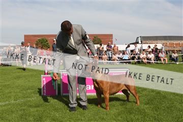 130370_se_02_IMG_6533.JPG