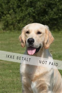 130370_tl_02_IMG_7882.JPG