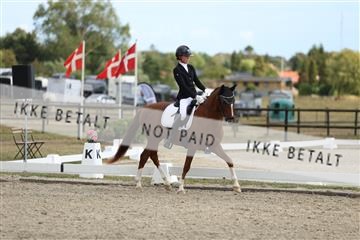 181894_mtp_03_R62_2836.JPG