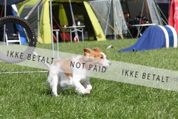 134871_ms_02_IMG_3024.JPG