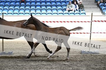 181754_kbb_01_Z093111.JPG