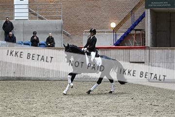 182241_kbb_01_Z094764.JPG