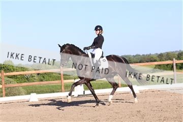 181449_bc_01R62_6351.JPG