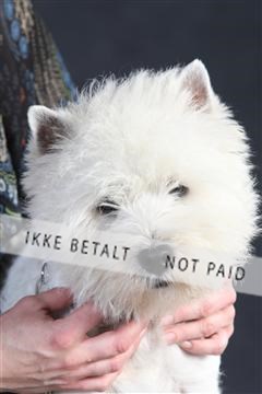 132082_le_ 01_IMG_1503.JPG