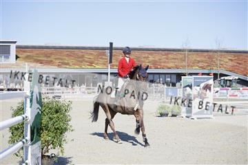 181332_kbb_01_6II4504.JPG