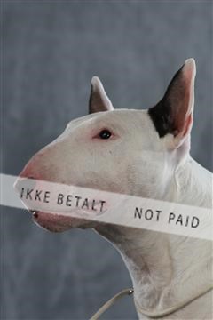 128239_le_kort_ 01_0290.JPG