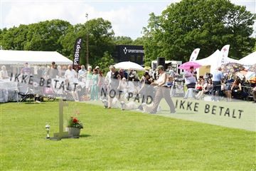 181564_kar_01__62_6709.JPG