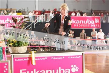 6068_ma_05_IMG_5721.JPG