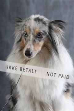 129608_le_ 01_0899.JPG