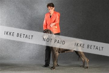 132082_le_ 01_IMG_1461.JPG