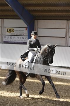 139422_bc_05__BC26424.JPG