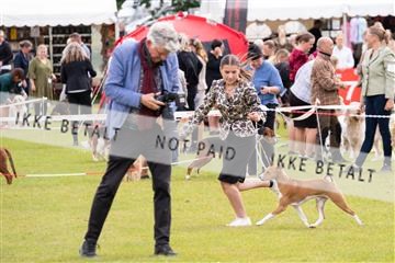 177324_jørgen lawaetz_1_DSCF4535.jpg