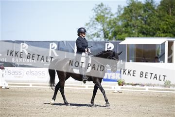 181449_kbb_01_6II9467.JPG