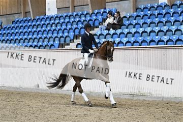 182241_kbb_01_Z094916.JPG