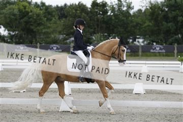 166078_rhj_01__J7R3207.JPG