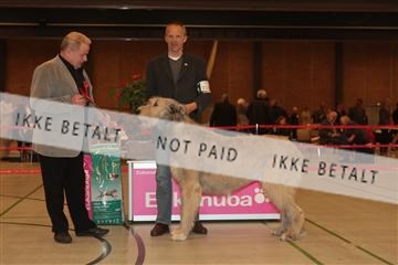 124188 _tl_02_IMG_9679.JPG