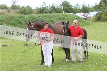 125406_TBJ_01_IMG_1306.JPG
