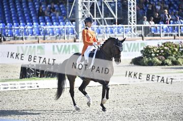 169586_kuo_06__D4S2085.JPG