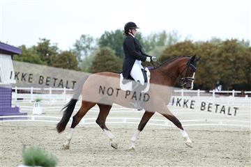 181923_mtp_04_R62_8449.JPG