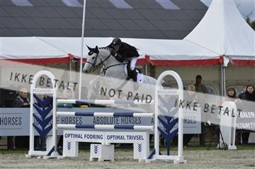 139644_abo_10__AB11015.JPG