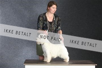 132082_le_ 01_IMG_1498.JPG