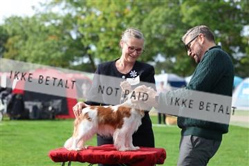 182009_rin_03_R62_4116.JPG