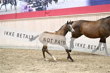 181754_kbb_01_Z092787.JPG