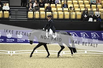 182194_kbb_02_Z099033.JPG