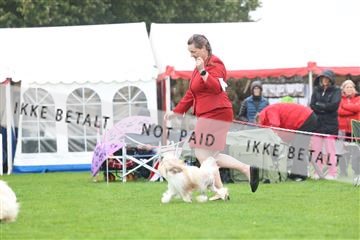 182009_rin_02_R62_0662.JPG