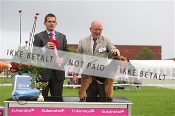 130370_le_02_IMG_8735.JPG