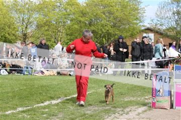 134871_ms_04_IMG_0616.JPG