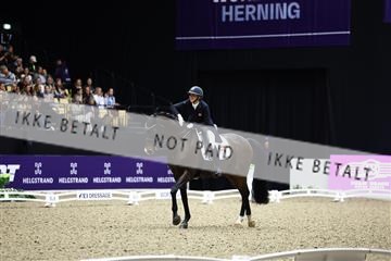 182194_avh_06_3164.JPG