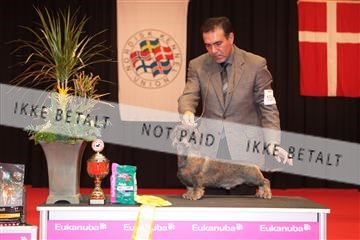 126827_tl_04_IMG_0160.JPG