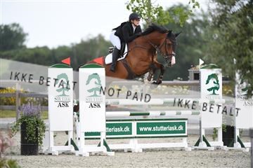 169152_abo_01_D05_0451.JPG