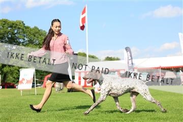 181564_rin_01_R62_0584.JPG