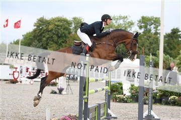 152762_nn _05_IMG_7502.JPG