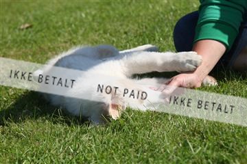 130370_se_03_IMG_6836.JPG
