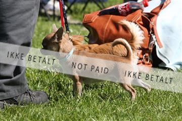 134871_ms_02_IMG_3209.JPG