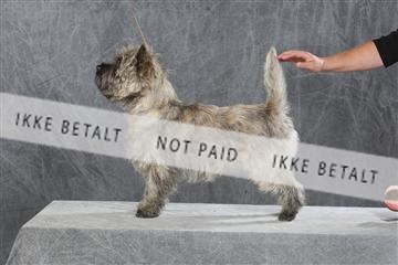 130054_le_ 03_0043.JPG