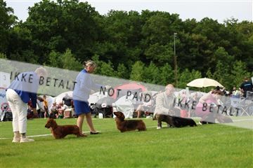 181564_rin_02_R62_1329.JPG