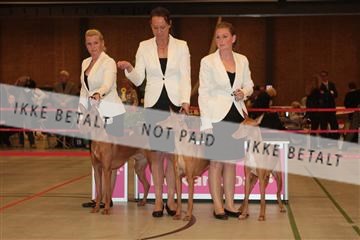 124188 _tl_02_IMG_9270.JPG