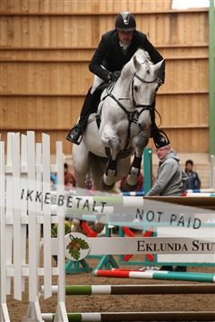 139265_kl_1_8M1Q6350.JPG
