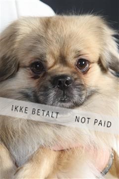 132082_le_ 01_IMG_1483.JPG