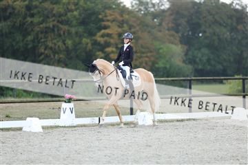 181894_mtp_04_R62_4038.JPG
